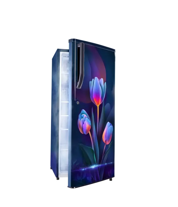 Gem%20Refrigerator%20-%20170%20Ltr%20-%20Direct%20Cool%20-%20Trisha%20-%20Image%205