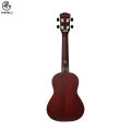 Manaslu Danfe 24 Inch Concert Ukulele With Bag. 