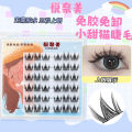 Glue-Free Sweet Cat False Eyelashes Single Cluster Segment Beginner Natural Imitation Light Makeup Dense Long Manga Style. 