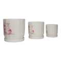Ceremic Decorative Flower Pot With Combo Pack. 