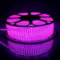 Water Proof 10 Meter LED Rope Light ( Pipe Light ) Includes Power Adapter, Low Power Consumption - Lights |. 