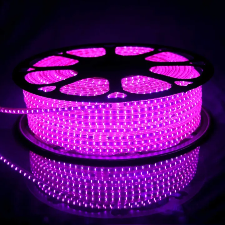 Water%20Proof%2010%20Meter%20LED%20Rope%20Light%20(%20Pipe%20Light%20)%20Includes%20Power%20Adapter,%20Low%20Power%20Consumption%20-%20Lights%20%7C%20-%20Image%204