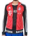 FC Bayern Munich  Custom Classic Hoodie T-Shirt And Sweater. 
