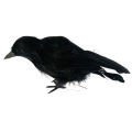 Modeow Fake Bird Toy Handmade Realistic Standing Crows Prop. 