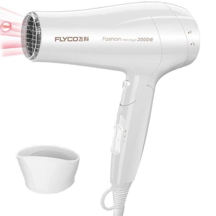 Flycoz Hair Dryer