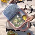 8L Cartoon Large Capacity Tote Picnic Insulated Box Student Bag, Portable Vacation Beach Lunch Bag. 