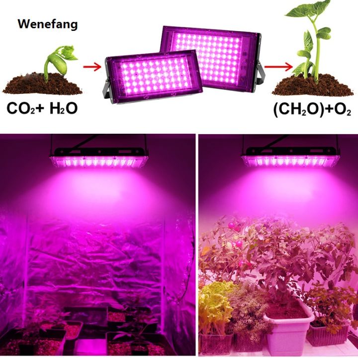 Wenefang Full Spectrum LED Grow Light Phyto Lamp AC 220V 50W 100W 200W ...