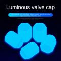 10Pcs Glow Valve Cap Fluorescent Blue Glow Automobile Motorcycle Bicycle Wheel Tire Hub Luminous Cap Decoration. 