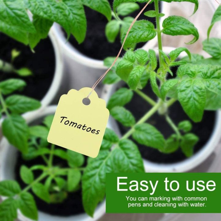 200Pcs%20Plant%20Hanging%20Tag%20Waterproof%20Plastic%20Labels%20Reusable%20Garden%20Markers%20Blank%20Nursery%20Name%20Tags%20with%20Strings%20-%20Image%204