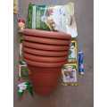 Dashin Offer: Combo Offer: KITCHEN GARDENING KITS OF LEARNERS. 