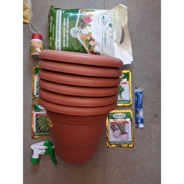 Dashin Offer: Combo Offer: KITCHEN GARDENING KITS OF LEARNERS