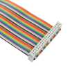 40 Pin Colorful Rainbow GPIO Female to Female Cable 20CM for Raspberry Pi. 