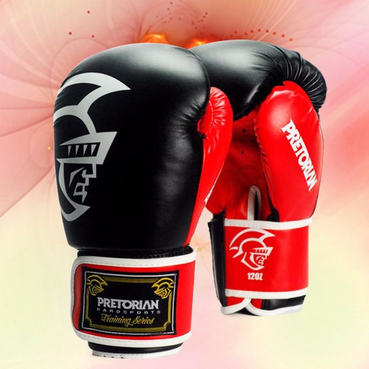 GRANTのグローブ16オンス GRANTのグローブ16オンス （GRANT BOXING 16 oz-Vintage Gloves