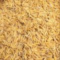Puja Samagri Paddy Seeds/Dhan 500g. 