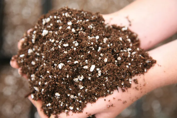 General%20Potting%20Soil%20Mix-%205Kg%20Ready%20To%20Use%20-%20Image%202