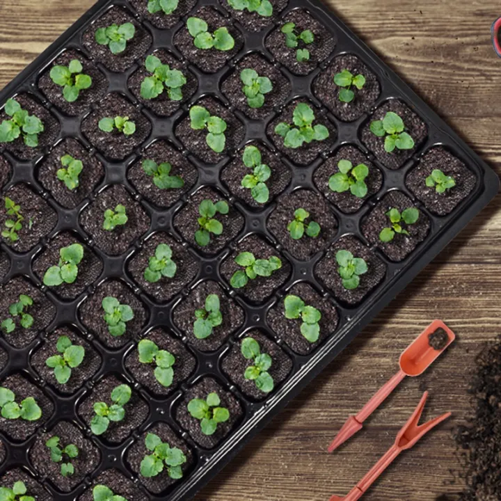 NAMUNY%2010%20Pack%20Seed%20Tray,%2072%20Cell%20Seedling%20Trays%20with%20Drain%20Holes,%20Reusable%20Seed%20Kit,%20Mini%20Propagator%20Plant%20-%20Image%206
