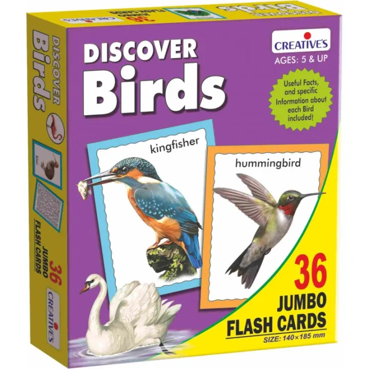 Discover Birds kids learning materials jumbo flash cards of birds by ...