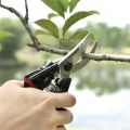 Professional Sharp Pruners,Garden Pruners,Tree Trimmers Secateurs,Bypass Pruning Shears. 