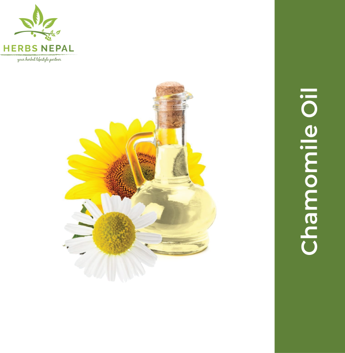 Chamomile Oil 30ml /Herbs Nepal