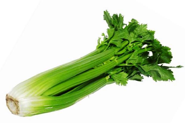 Celery Seeds 50 Nos Kitchen Garden Balcony Vegetable