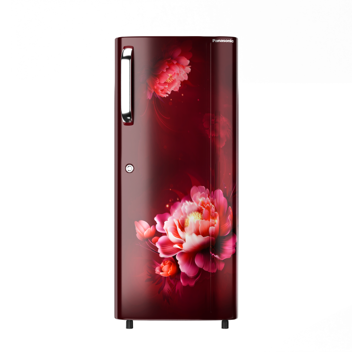 Panasonic NR-A242CFRX Refrigerator - Big Digital