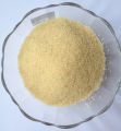 Gelatin Powder - 50 gm. 