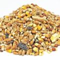 IS 280 Grams of Highly Nutritious Organic Seed / Seeds and Grains Mix Food for All Kinds of Birds / Bird | Shell Free. 