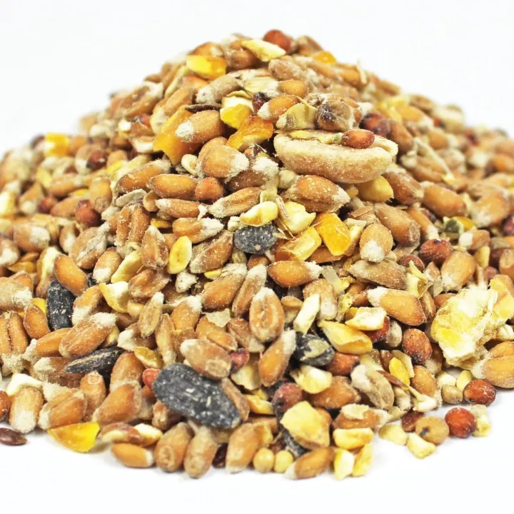 IS%20280%20Grams%20of%20Highly%20Nutritious%20Organic%20Seed%20/%20Seeds%20and%20Grains%20Mix%20Food%20for%20All%20Kinds%20of%20Birds%20/%20Bird%20%7C%20Shell%20Free%20-%20Image%202