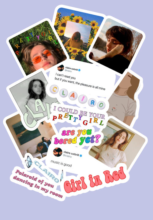 Clairo%20Sticker%20Set-%2013%20pcs%20%7C%20Sticker%20Pack%20for%20Laptop%20%20%7C%20Decalsnation%20-%20Image%202