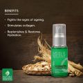 Lotus Herbals Phyto-Rx Intensive Repair Anti-Ageing Serum (30ml). 