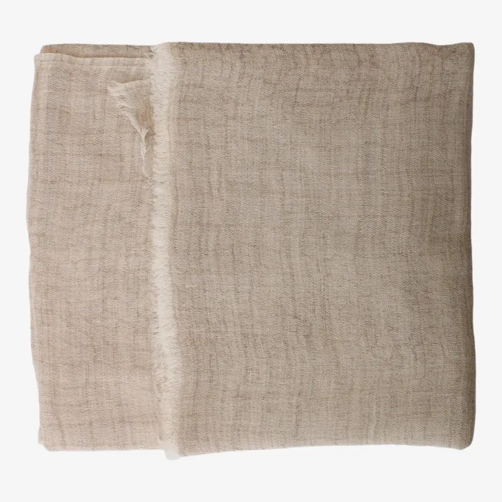 Brown%20Jakard%20Pashmina%20Shawl%20For%20Women%20-%20Image%204