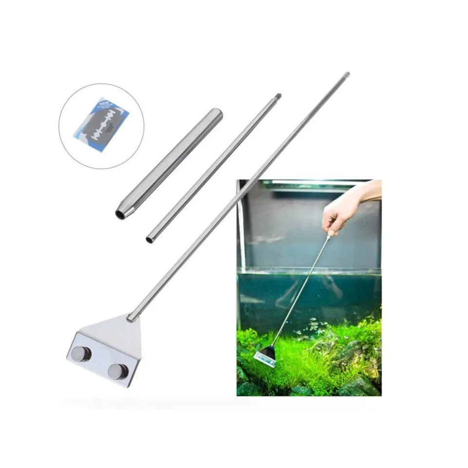 Fish tank algae cleaner best sale