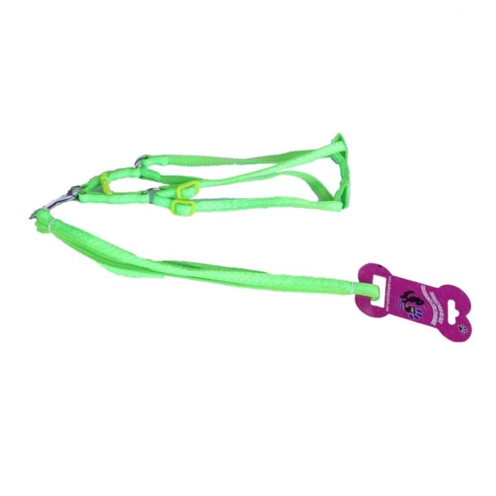 Neon Polka Design Small Nylon Harness Leash For Puppy