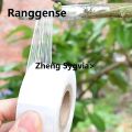 Haodeguiguo Portable 200M PE Grafting Tape Film Self-adhesive for Fruit Tree Nursery Plants Seedlings Vine Floristry Tomato Grafting Supplies Stretch. 