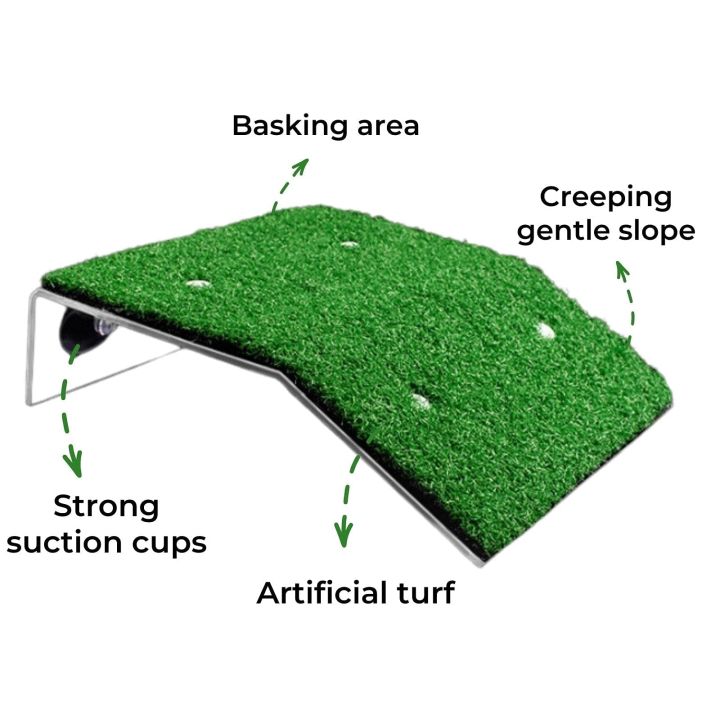 Turtle%20Basking%20Platform%20Large%20Size%20By%20HAMROPETS%20-%20Image%207