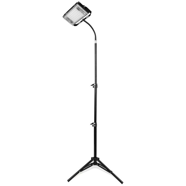Grow Light with Stand, Full Spectrum LED Floor Plant Light for Indoor ...