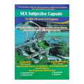 Nea Subjective Capsule For Nea 7Th Level Civil Engineer. 