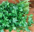 50+ Loose Packed Seed Of Parsley Elite, Botanical Name: Petroselinum crispum, Excellent Quality Seed Can Grow All Over Nepal, Non GMO Seeds. 