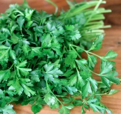 50+%20Loose%20Packed%20Seed%20Of%20Parsley%20Elite,%20Botanical%20Name:%20Petroselinum%20crispum,%20Excellent%20Quality%20Seed%20Can%20Grow%20All%20Over%20Nepal,%20Non%20GMO%20Seeds%20-%20Image%203