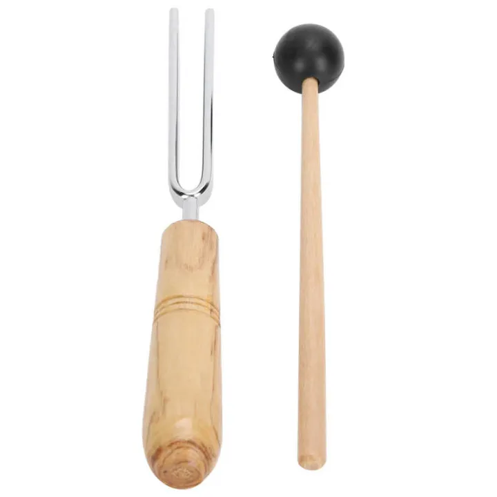 256HZ%20Tuning%20Fork%20with%20Wooden%20Hammer%20for%20Physical%20Experiment%20Teaching%20Nerve%20Test%20-%20Image%204