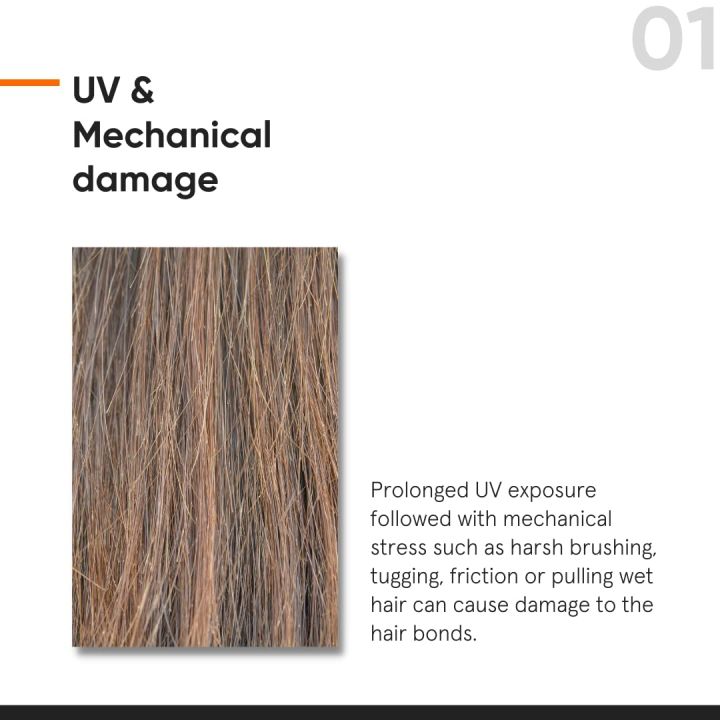 Minimalist%20Serum%20for%20Repairing%20Damaged%20Hair%20%7C%20Maleic%20Bond%20Repair%20Complex%2005%25%20Hair%20Serum%20with%20Amino%20Acids,%20Argan%20Oil%20&%20Squalane%20%7C%20For%20Women%20&%20Men%20%7C%20For%20All%20Hair%20Types%20%7C%2050%20ml%20-%20Image%206