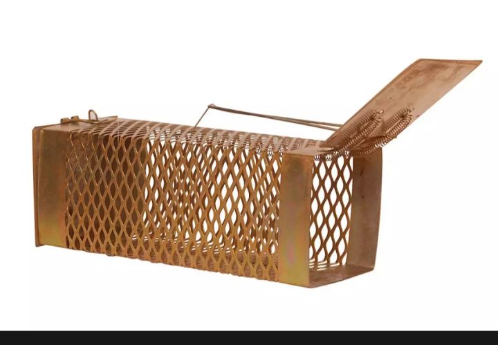 Mouse%20Rat%20Rodents%20Trap,%20Catcher%20Museri%20Iron%20Made%20Big%20Size%20-%20Image%203