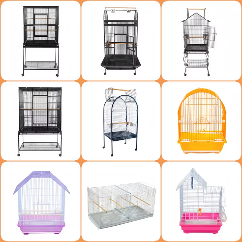 Photo inspiration: Bird Cage Avian Cage Parrot Love Birds Parakeet Finch Nestlings Photo Inspiration