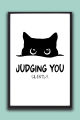 Funny Cat Wall Frame – Judging You Silently Quote Wall Art | One Piece Frame. 