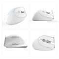 ZELOTES F-36 Wireless Vertical 2.4G Bluetooth Mouse Full. 