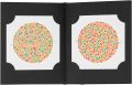 Ishihara Test Chart Books Color Vision Test Book with 38 Plate. 