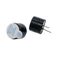 5V Active Dc Buzzer For Electronics Project (2 Pcs). 