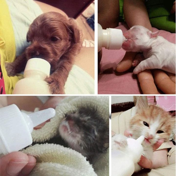 Pet%20Nursing%20Bottle%20Kits%20Replacement%20Nipple%20Cat%20Feeding%20Bottle%20for%20Newborn%20Kittens,%20Puppies,%20Rabbits,%20Small%20Animals%20-%20Image%202