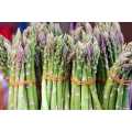 1 Packet Asparagus(Kurilo) Loose Seeds(30-50 Seeds) - Best For Kitchen. 