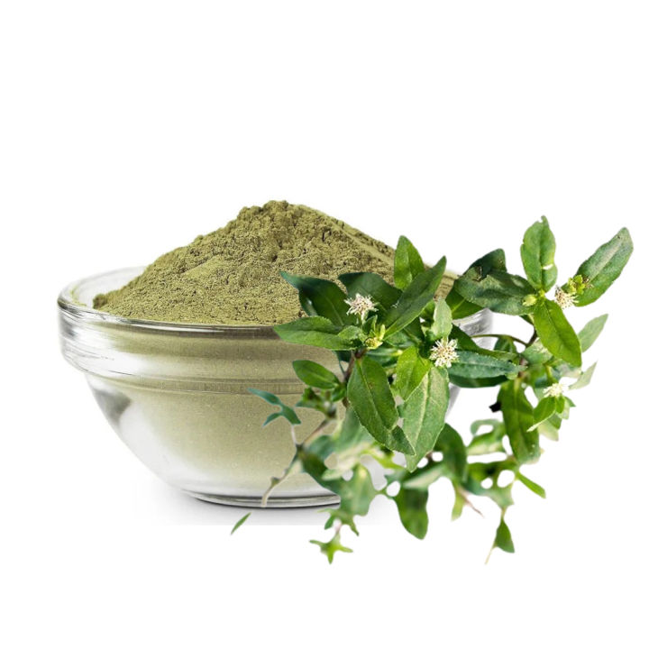 Bhringraj%20Powder%20-%20For%20Long,%20Strong%20Thick%20&%20Smooth%20Hair,%20Eclipta%20Prostrata%20For%20Hair%20oil%20pack,%20Oil%20%20&%20Oral%20Consumption,%20Skin%20&%20Hair,%20False%20Daisy%20100gm%20-%20Image%203